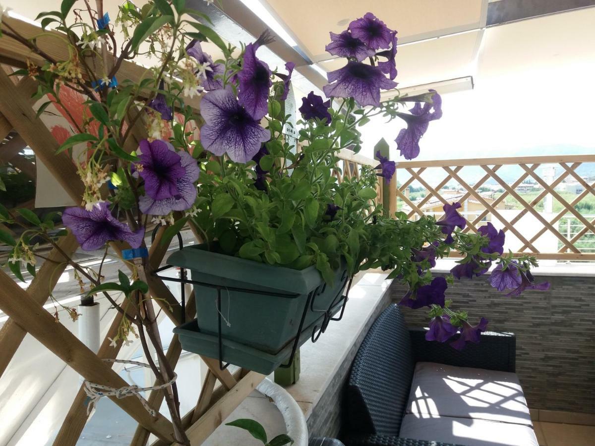 Néa Péramos Green House מראה חיצוני תמונה